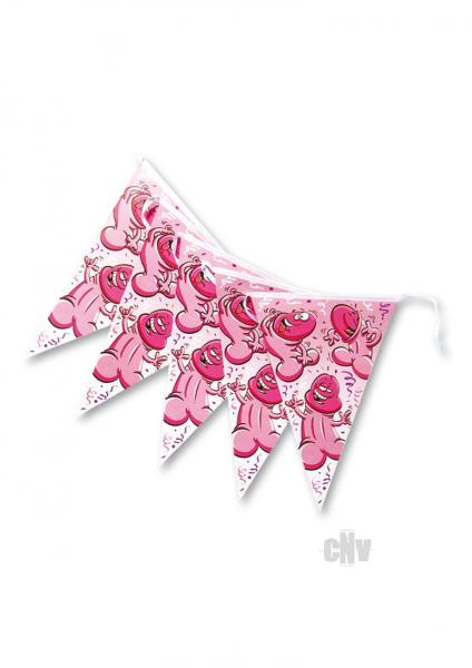 Bachelorette Party Banner Sex Toy Product