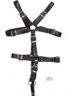 Rouge Master Harness Black Large/xl Sex Toy Product