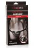 Her Royal Harness Countess Black O/S Boxed Sex Toy Product Image 3