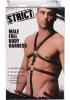Male Full Body Harness Black Leather Sex Toy Product Image 3