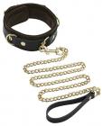 Spartacus Collar & Leash Brown Leather Gold Accent Hardware Sex Toy Product