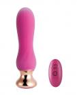 Pink Holic Curved Remote Vibrating Anal Plug Sex Toy Product