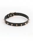 Fetish & Fashion Medusa Collar - Black Sex Toy Product
