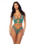 Evelyn Unlined Underwire Embroidered Bustier W/ Panty - Green Md Sex Toy Product