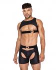 Master Harness W/hook & Ring Closure Black Xl Sex Toy Product