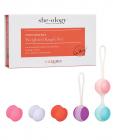 She-ology Interchangeable Weighted Kegel Set Sex Toy Product