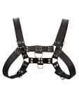 Shots Uomo Chest Bulldog Harness Large/xlarge - Black Sex Toy Product