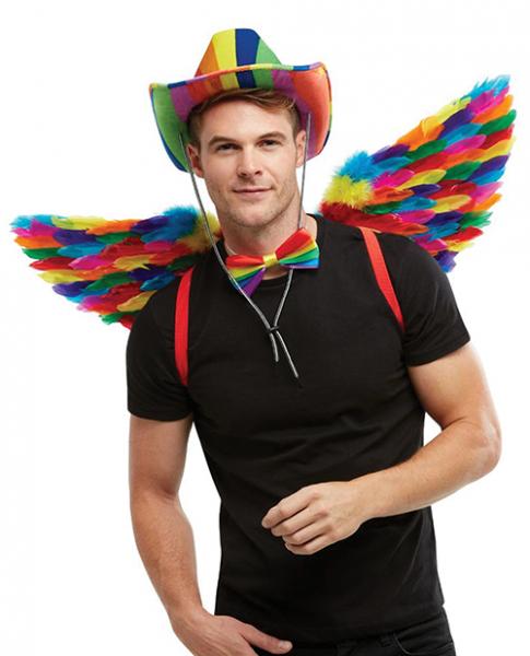 Rainbow Small Feather Wings Sex Toy Product