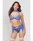Demi Bra W/removable Collar, Garter Belt & Thong Blue Lg Sex Toy Product