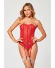 Valentines Heart Embroidered Mesh Bustier & Panty Red Lg Sex Toy Product