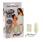 Remote control egg