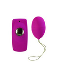 Rubber cote remote control egg