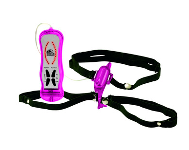 Waterproof Interactives Mini Dolphin