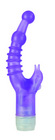 Dancin dolphin - purple