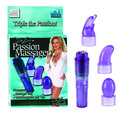 Dr. z passion massager mini w/attachments
