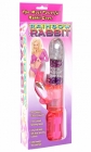Rainbow Rabbit