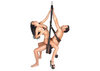 Spinning sex swing graphic