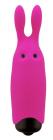 Adrien Lastic Lastic Pocket Vibe Sex Toy Product