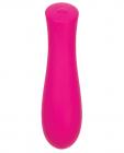 The Mini Swan Rose Pink Massager Sex Toy Product