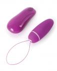 Bnaughty Deluxe Unleashed Wireless Bullet Vibrator Raspberry Sex Toy Product