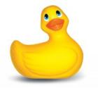 I Rub My Duckie Yellow Floral Oval Package Sex Toy Product