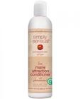 Simply Sensual Pomegranate Ginger Conditioner