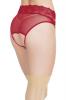 Crotchless Panty W/ Attached Garter Merlot O/s Sex Toy Product Image 2