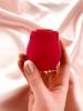 Edonista Rosa Clitoral Suction Stimulator Red Sex Toy Product Image 3