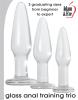 Glass Anal Training Trio 3 Clear Butt Plugs Sex Toy Product Image 2