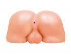 Bottom Buddy Doggy Style Ass & Ball Masturbator  Sex Toy Product