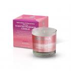 Dona Massage Candle Flirty Blushing Berry 4.75oz Sex Toy Product