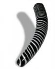 Coiled Pleasure
