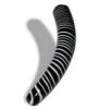 Coiled Pleasure