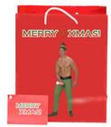 Male Elf Sexmas
