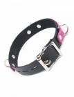 Joanna Angel Locking Buckle Collar Pink Black Sex Toy Product