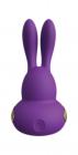 Rhythm Chari Purple Rabbit Vibrator Sex Toy Product
