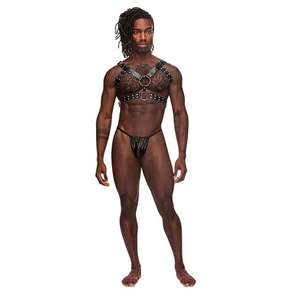 Gemini Leather Harness Black O/s Sex Toy Product