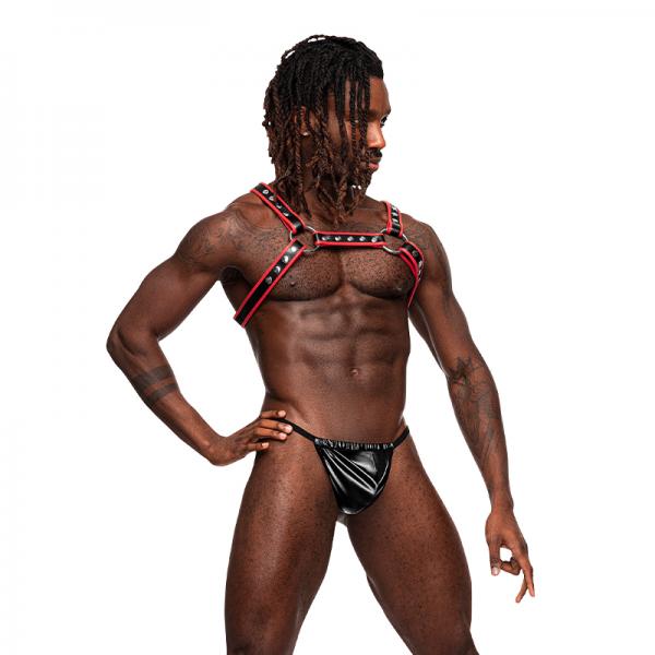 Leo Leather Harness Black/red O/s Sex Toy Product