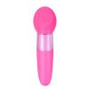 Rina Dual Vibrator Pink Sex Toy Product Image 1