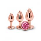 Rear Assets Rose Gold Pink Gem Trainer Kit Sex Toy Product
