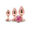 Rear Assets Rose Gold Pink Gem Trainer Kit Sex Toy Product Image 1