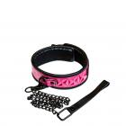 Sinful Collar Pink Sex Toy Product