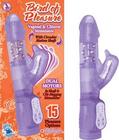 Bird Of Pleasure Purple