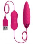 OMG! BULLETS #FUN USB Powered Bullet Vibrator Fuchsia Sex Toy Product