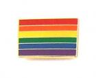 Gaysentials Lapel Pin Rainbow Flag Sex Toy Product