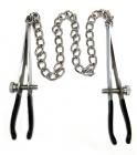 Rouge Stainless Steel Nipple Chain Clamp Sex Toy Product