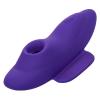 Lock N Play Remote Suction Panty Teaser Sex Toy Product Image 4