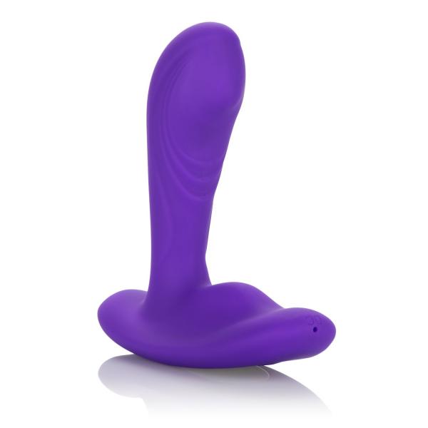 Silicone Remote Pinpoint Pleaser Purple Plug Sex Toy Product