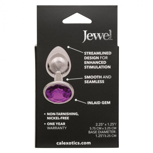 Jewel Small Amethyst Plug Sex Toy Product
