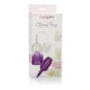 Clitoral Intimate Pump Purple Sex Toy Product Image 4